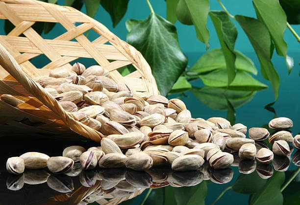 قیمت با کیفیت ارزان پسته اکبری انس 20 + خرید عمده